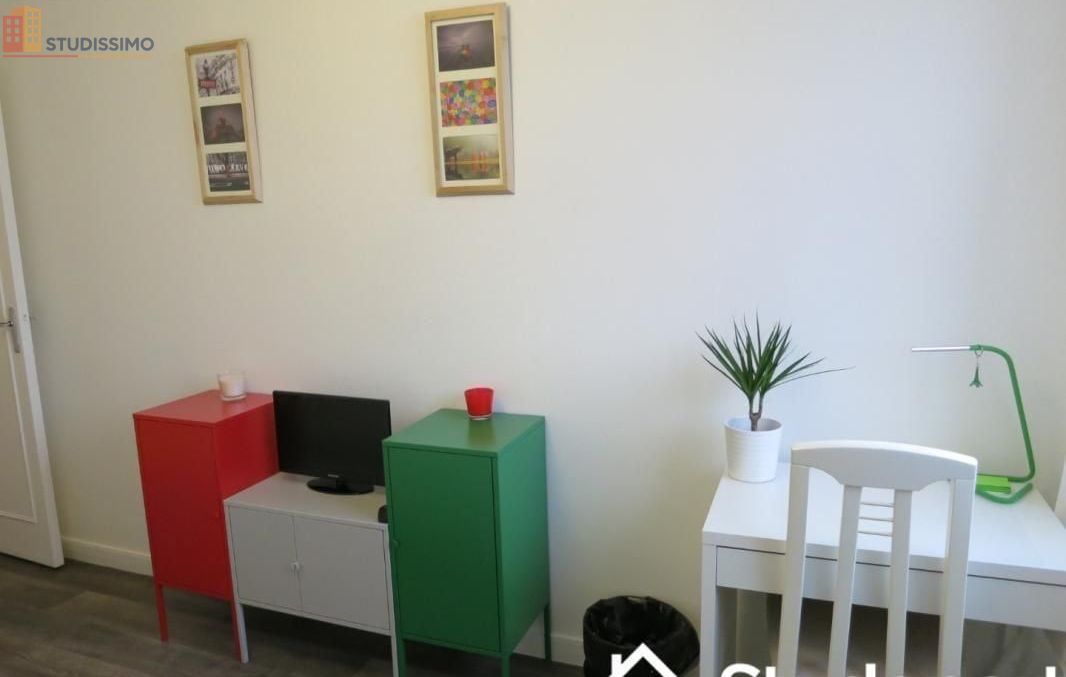Studio meublé 12m² Issy-les-Moulineaux - Lumineux, 9e étage - Photo 2