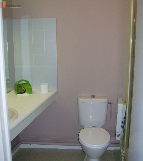 Studio 26m² Limoges 87000 - Dernier étage, lumineux - Photo 1