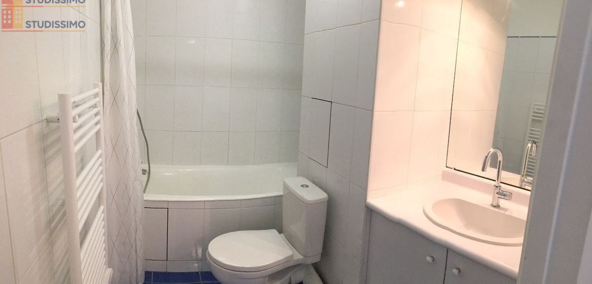 Studio meublé 30m² Boulogne-Billancourt - Terrasse, lumineux - Photo 4