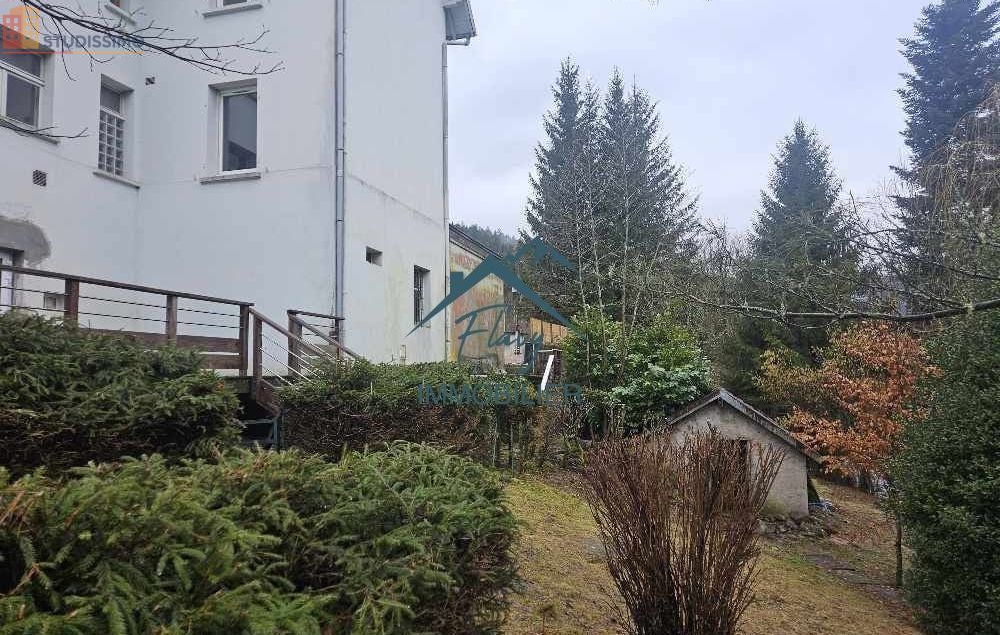 Studio 26000m² Cornimont 88310 - Photo 2