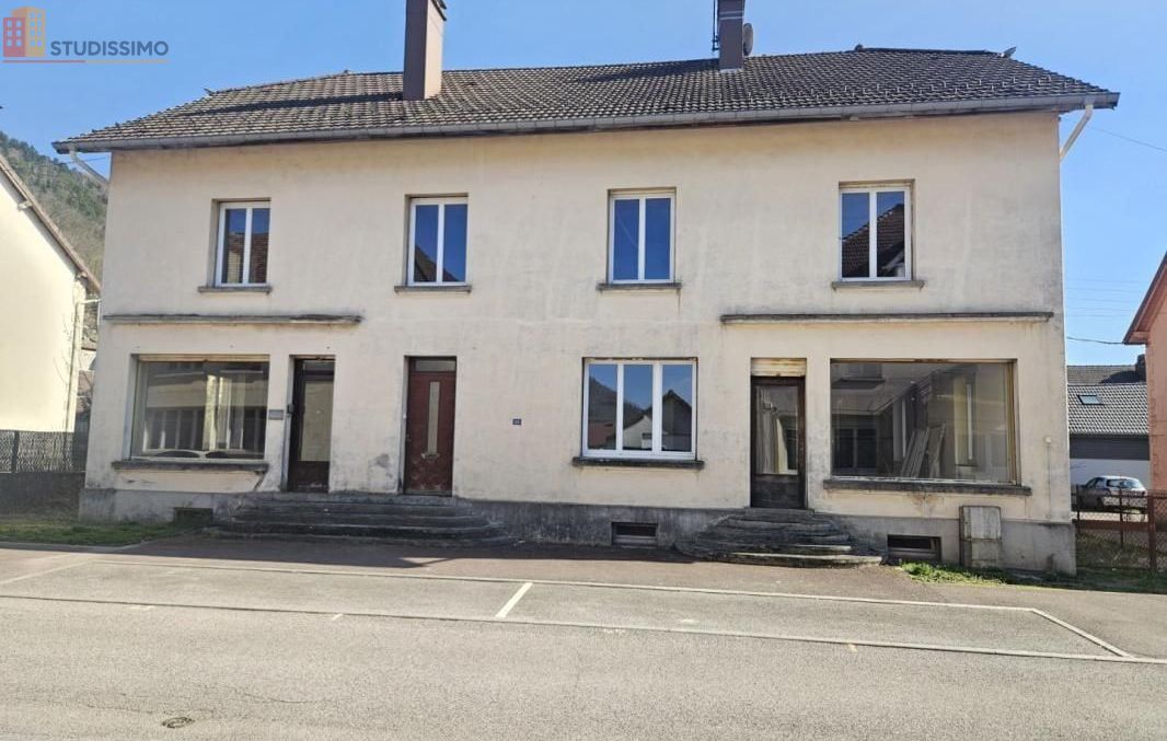 Studio 45m² Rupt-sur-Moselle - 1er étage, lumineux - Photo 2