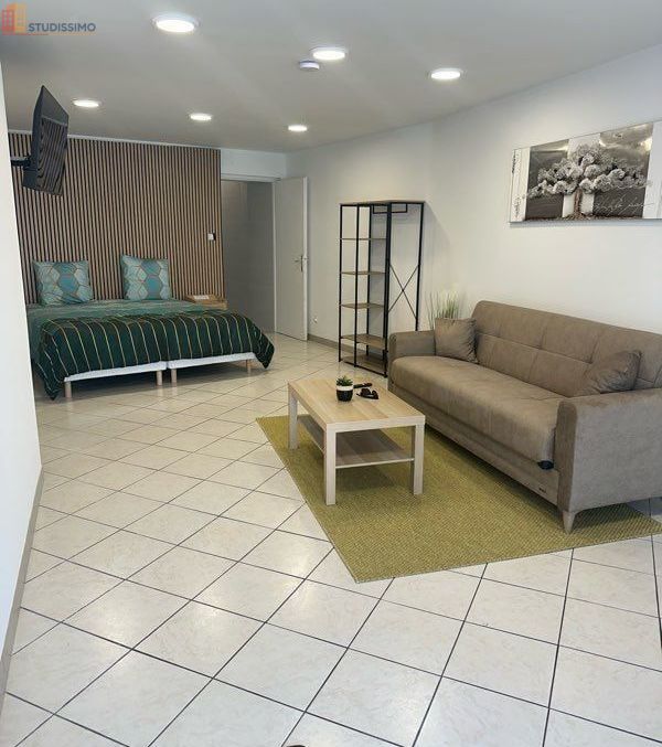 Studio à Remiremont