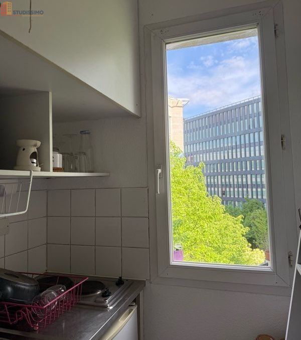 Studio meublé 22m² Issy-les-Moulineaux - Lumineux, 4e étage - Photo 6
