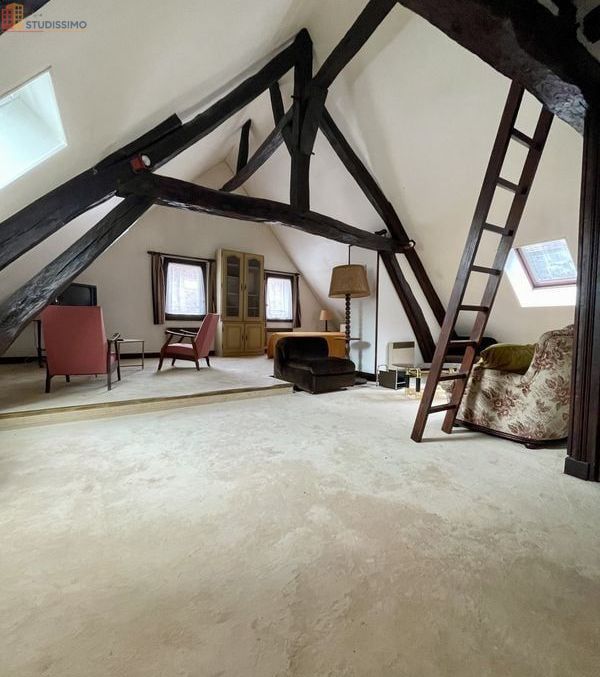 Studio 59m² Saint-Florentin - Triplex, lumineux - Photo 6