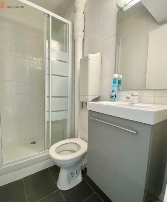 Studio 15m² Levallois-Perret - Lumineux, proche parc - Photo 5