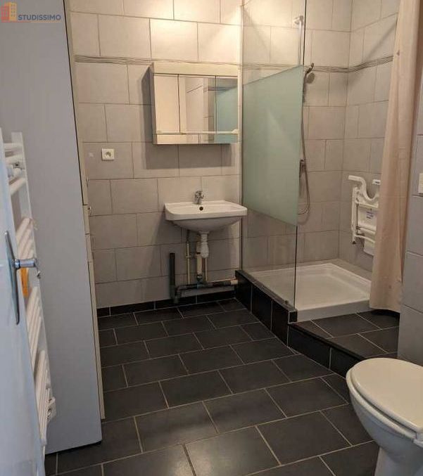 Studio 32m² Sens 89100 - Exposition est, terrasse et jardin - Photo 6