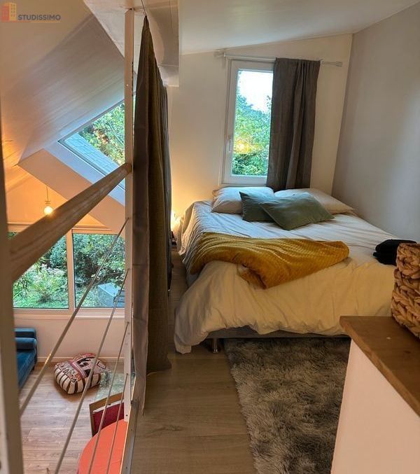 Studio 50m² Fontenay-aux-Roses - Meublé, type loft - Photo 5