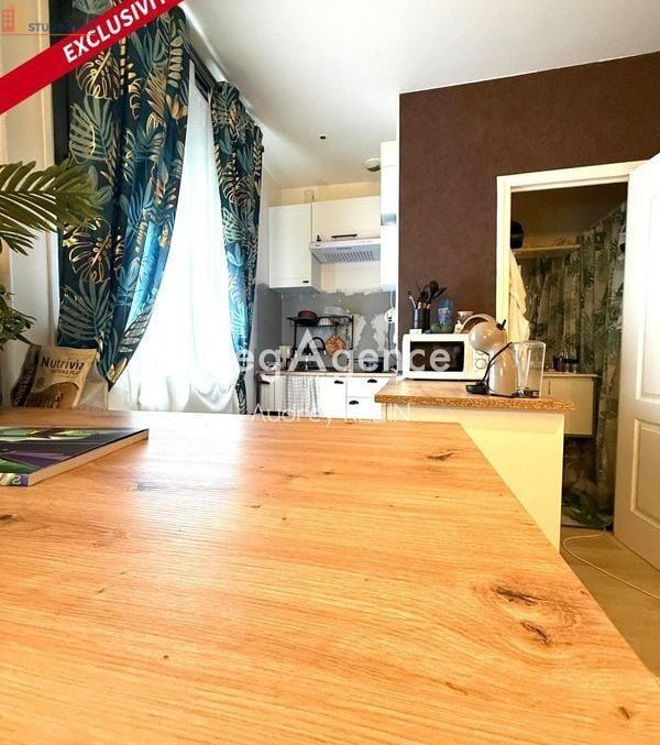 Studio 28m² Sens 89100 - Photo 7