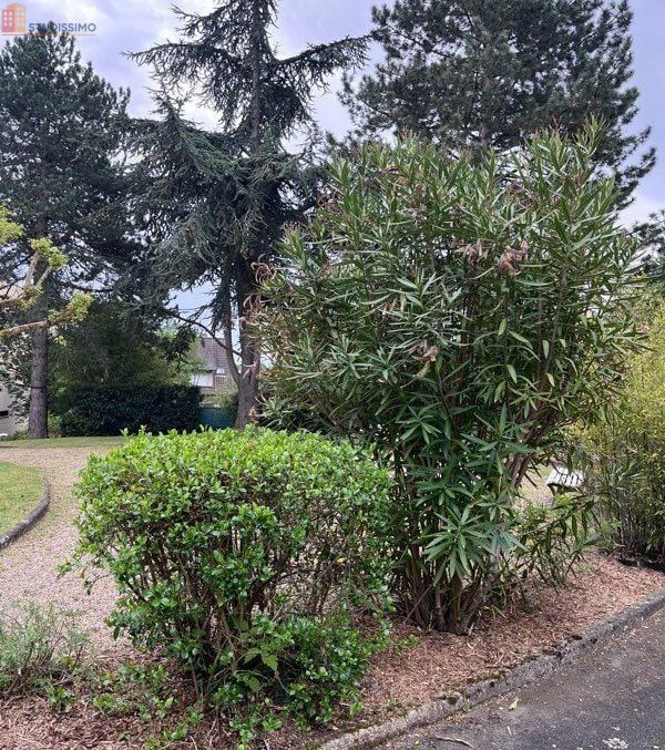 Studio 15m² Sceaux - Meublé, proche RER Robinson - Photo 2
