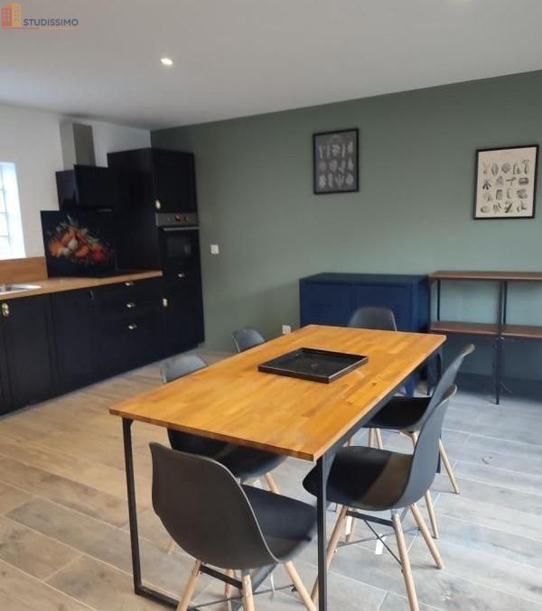 Studio meublé 33m² Rosny-sous-Bois - Meublé, 1 pièce - Photo 3