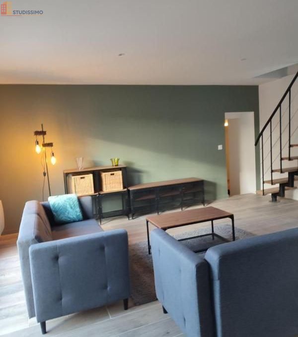 Studio meublé 33m² Rosny-sous-Bois - Meublé, 1 pièce - Photo 4