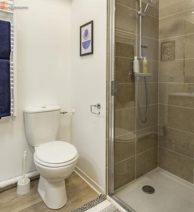 Studio 18m² Saint-Denis - Meublé, DPE C - Photo 1