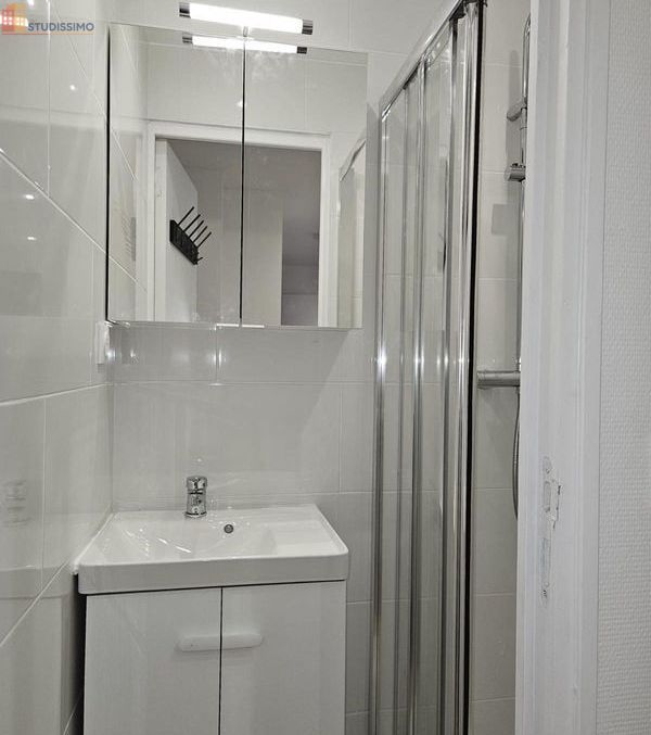 Studio meublé 10m² L'Île-Saint-Denis - Meublé - Photo 5