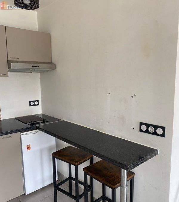 Studio 27m² Romainville - Meublé, grand et lumineux - Photo 3
