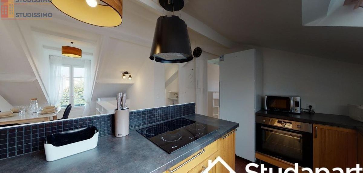 Studio meublé 11m² Saint-Denis 93200 - Meublé, DPE A - Photo 4