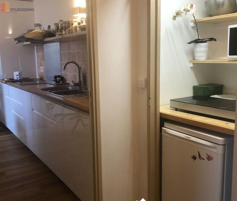 Studio meublé 21m² Noisy-le-Grand - Meublé, DPE B - Photo 4