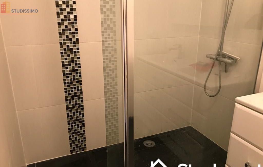 Studio meublé 12m² Saint-Denis 93200 - Meublé, calme - Photo 1