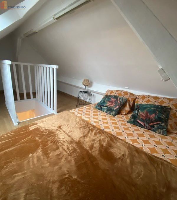 Studio 19m² Tremblay-en-France - Proche RER B - Photo 4