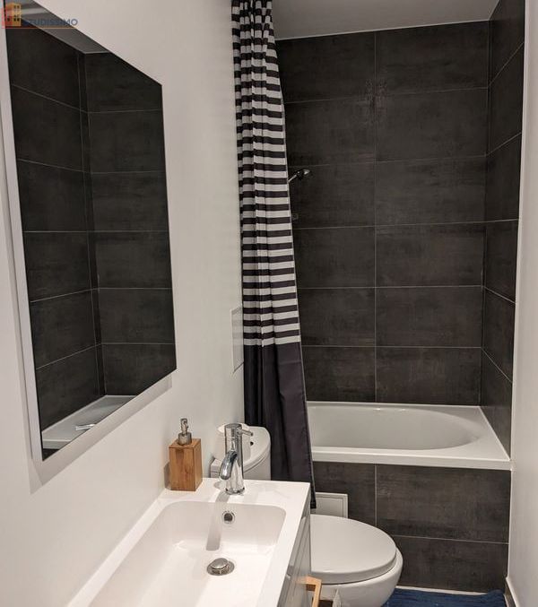 Studio 24m² Le Blanc-Mesnil - Meublé, lumineux - Photo 2