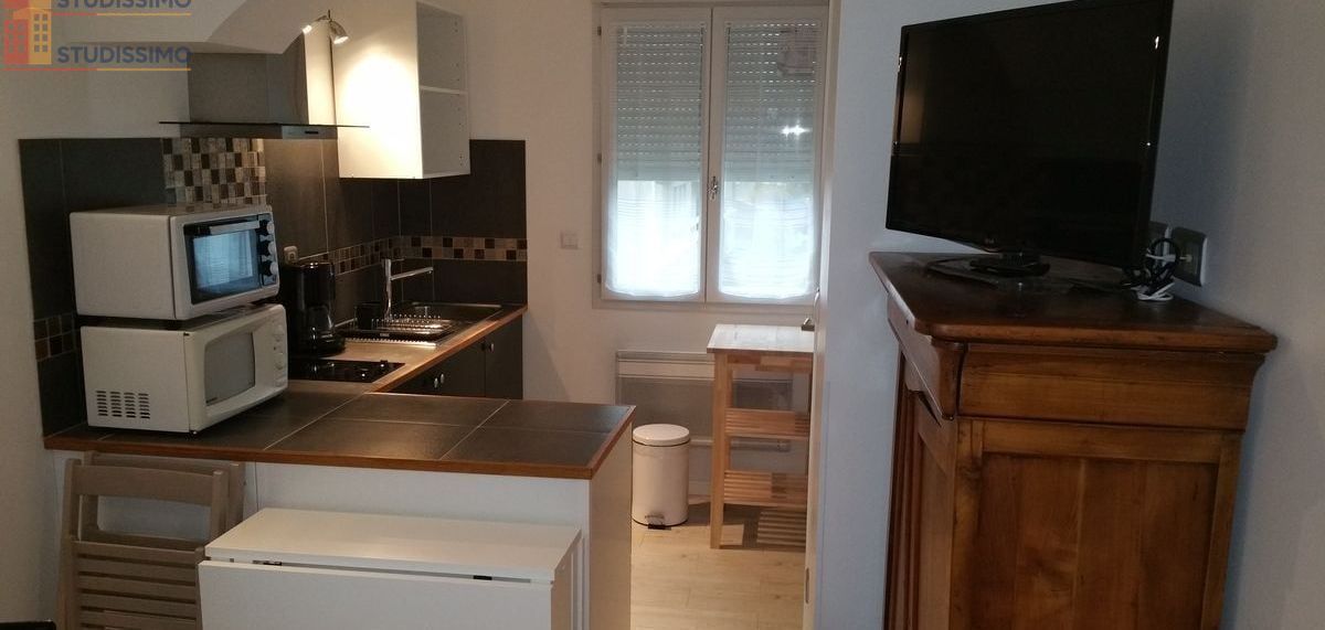 Studio 19m² Aulnay-sous-Bois - Meublé, zone pavillonnaire - Photo 5