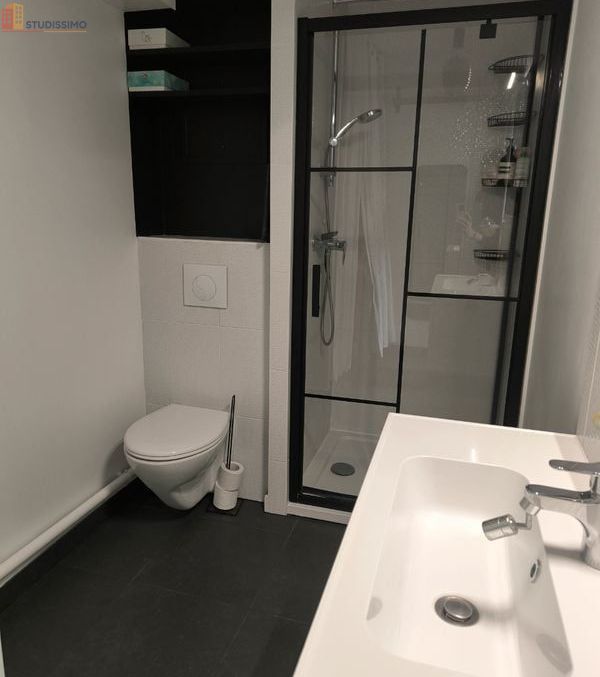 Studio 33m² Saint-Ouen-sur-Seine - Meublé, lumineux - Photo 2
