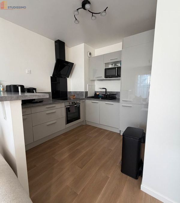 Studio 42m² Villepinte - Place de parking, lumineux - Photo 5