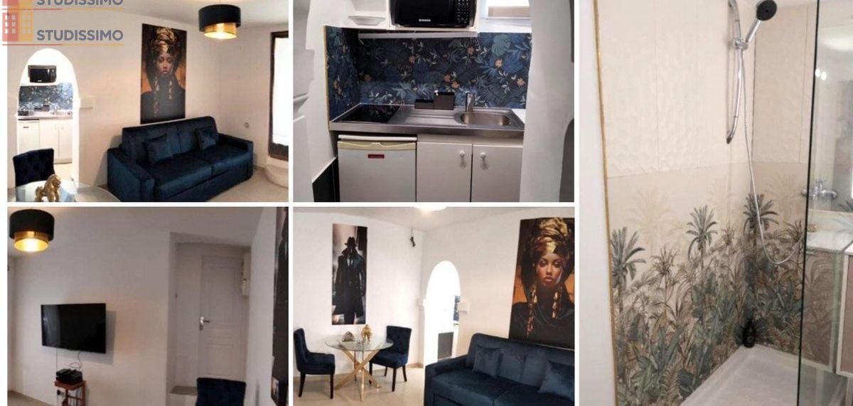 Studio meublé 20m² Neuilly-sur-Marne - Lumineux - Photo 3