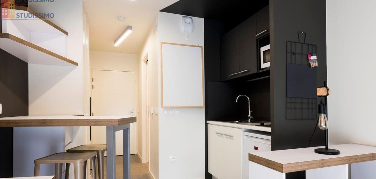 Studio 18m² Villejuif - lumineux - Photo 6