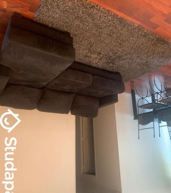 Studio meublé 10m² Villejuif - Calme, lumineux - Photo 8