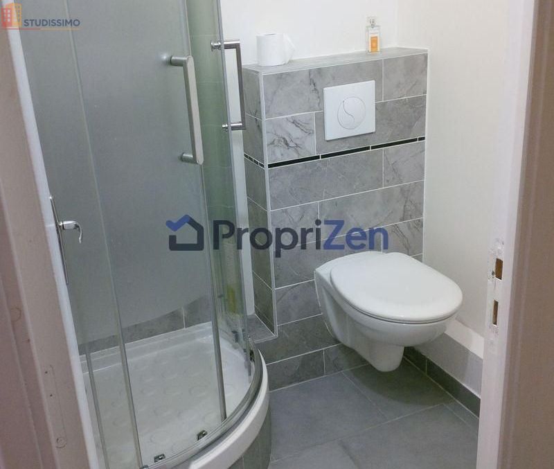Studio meublé 14m² Créteil - Lumineux - Photo 1
