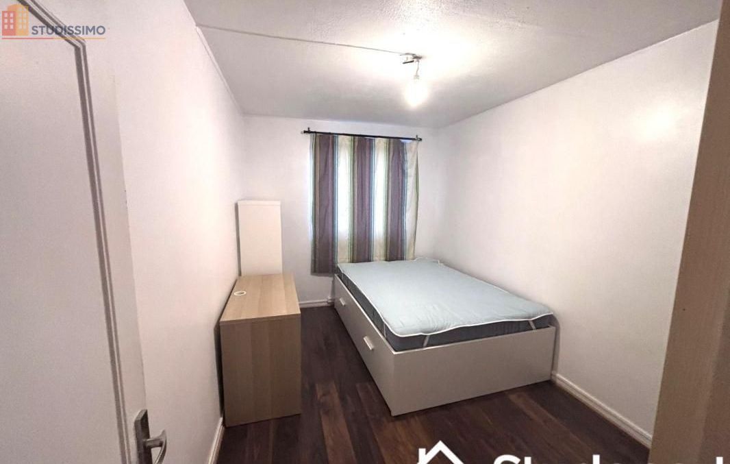 Studio 1m² Chevilly-Larue - Meublé, lumineux - Photo 7