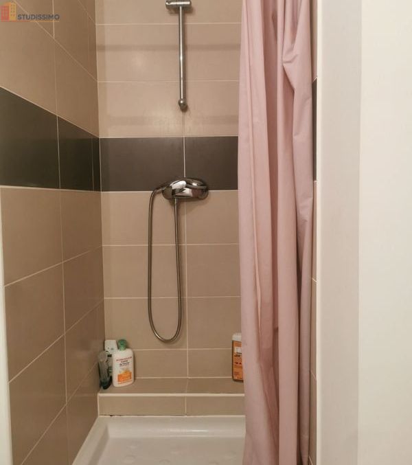 Studio meublé 21m² Ivry-sur-Seine - Meublé, 21m² - Photo 1