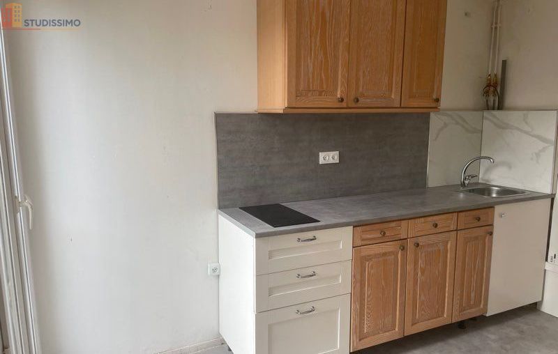 Studio 47m² Charenton-le-Pont - Lumineux, proche transports - Photo 4