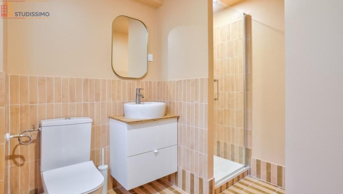 Studio meublé 50m² Villejuif - Lumineux, grand espace - Photo 20