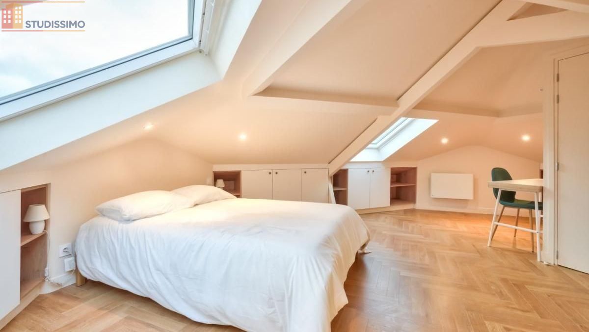 Studio meublé 50m² Villejuif - Lumineux, grand espace - Photo 16