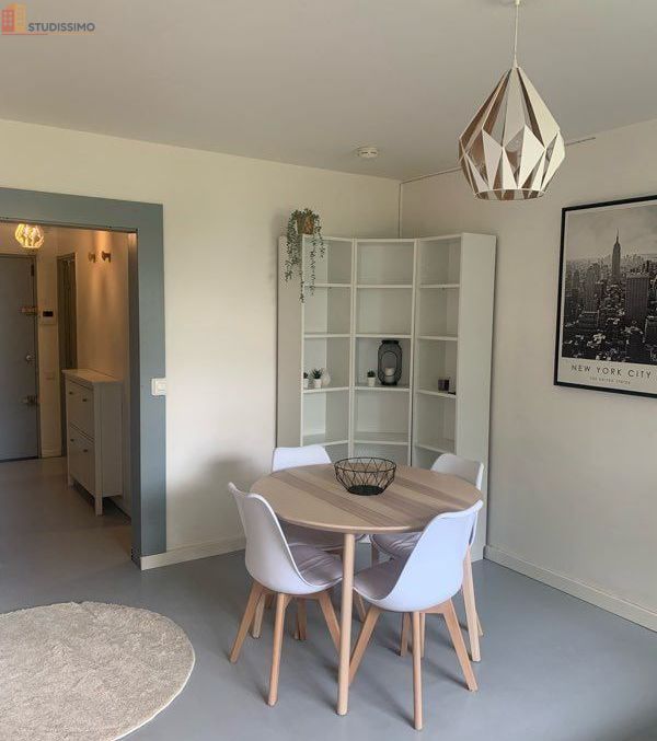 Studio meublé 35m² Villejuif - Calme, sécurisé - Photo 4