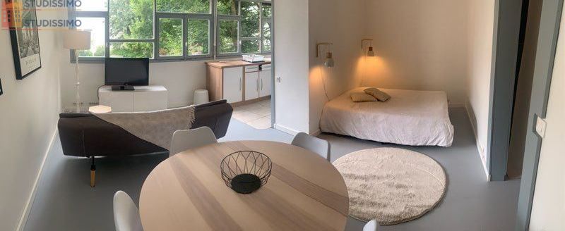 Studio meublé 35m² Villejuif - Calme, sécurisé - Photo 3