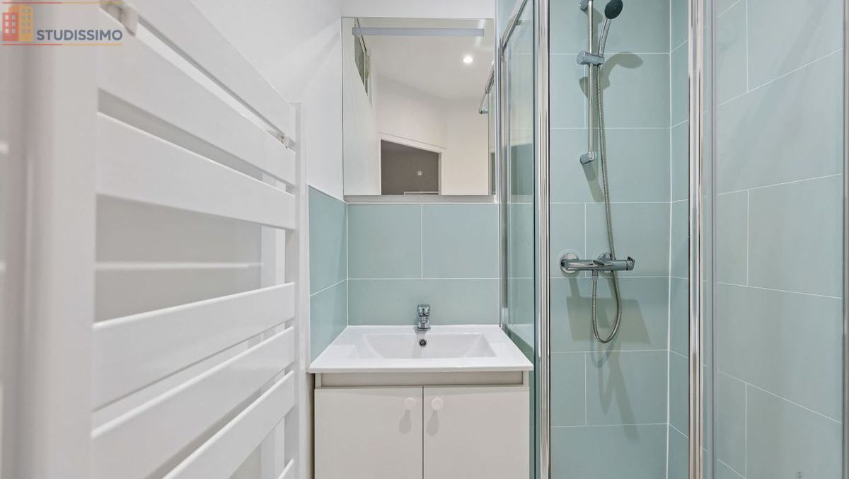 Studio meublé 29m² Ivry-sur-Seine - Meublé, DPE C - Photo 23