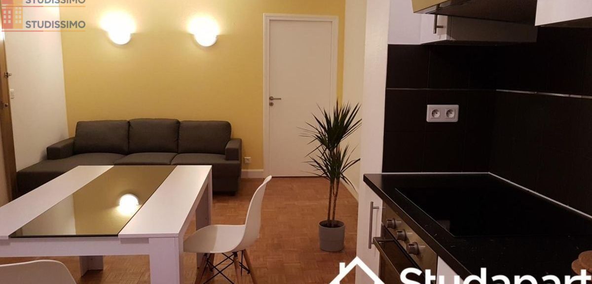 Studio 12m² Villejuif - Meublé, DPE A - Photo 13