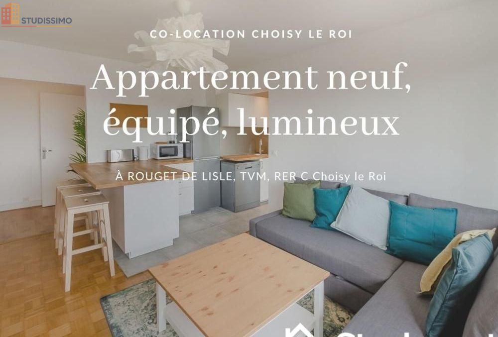 Studio meublé 10m² Choisy-le-Roi - Étage élevé, lumineux - Photo 6