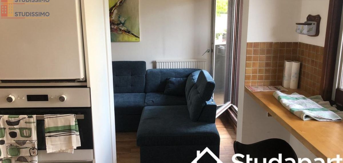 Studio meublé 12m² Cachan - Meublé, DPE C - Photo 1