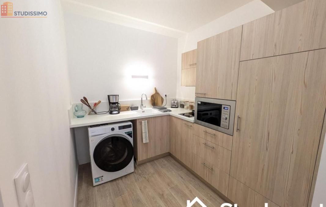 Studio meublé 46m² Nogent-sur-Marne - Lumineux, grand espace - Photo 4