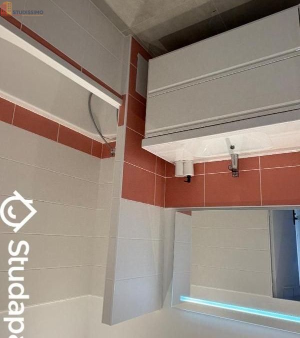 Studio meublé 9m² Villejuif - Meublé, DPE A - Photo 5