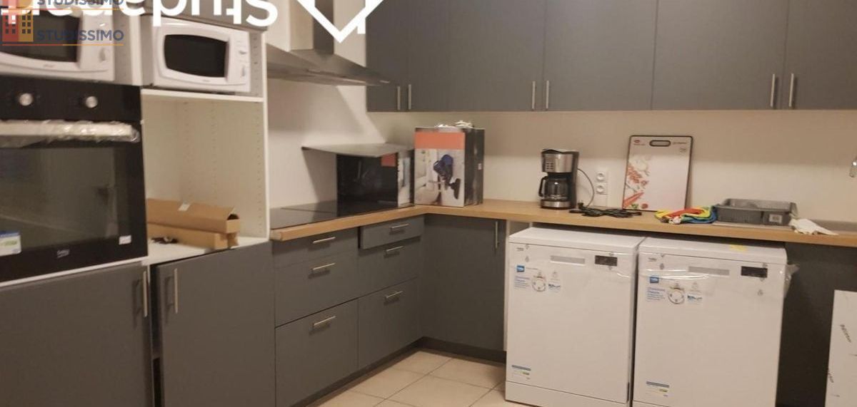 Studio 200m² Chevilly-Larue - Meublé, DPE A - Photo 3