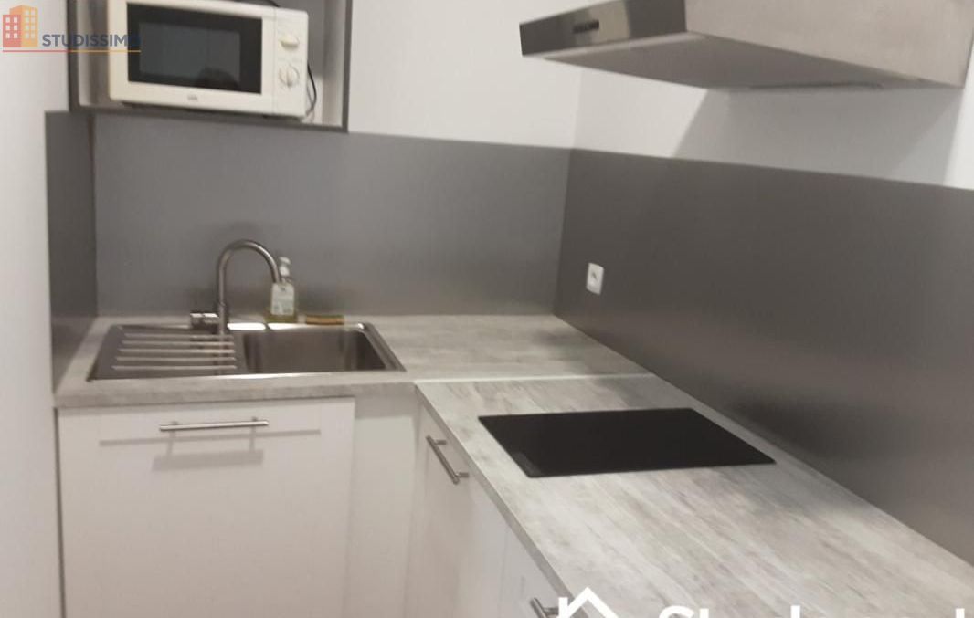 Studio meublé 55m² Champigny-sur-Marne - Meublé, 1 pièce - Photo 3