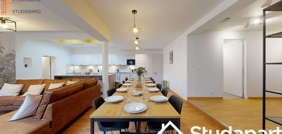 Studio meublé 15m² Villejuif - Meublé, DPE A - Photo 5