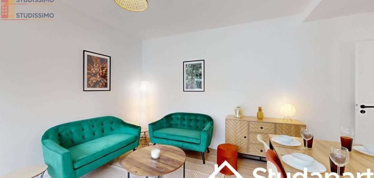 Studio meublé 10m² Villejuif - Meublé, DPE A - Photo 4