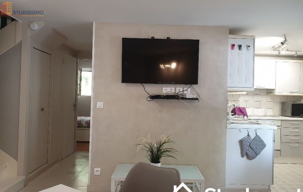 Studio meublé 12m² Le Kremlin-Bicêtre - 1er étage, lumineux - Photo 3