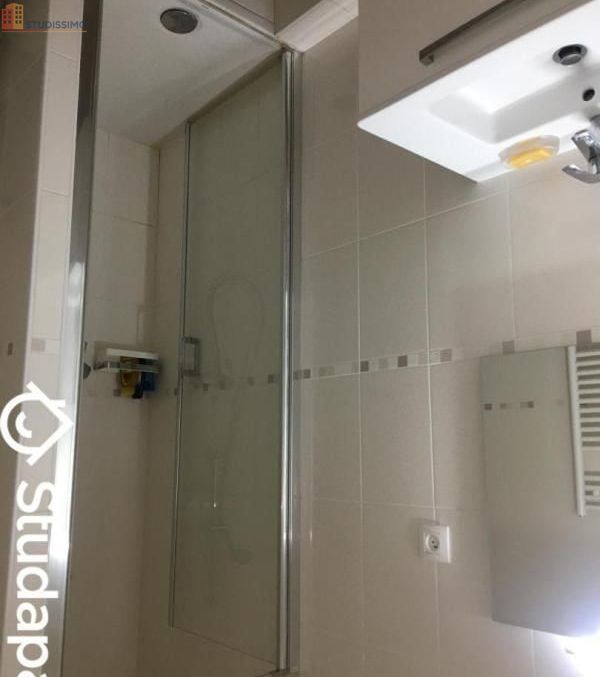 Studio meublé 10m² Saint-Maur-des-Fossés - Meublé, DPE D - Photo 1