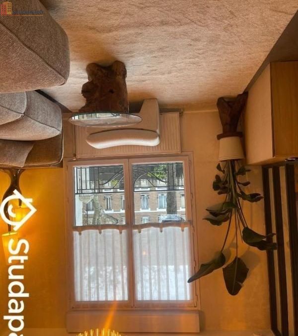 Studio meublé 19m² Champigny-sur-Marne - Meublé, 1 pièce - Photo 9